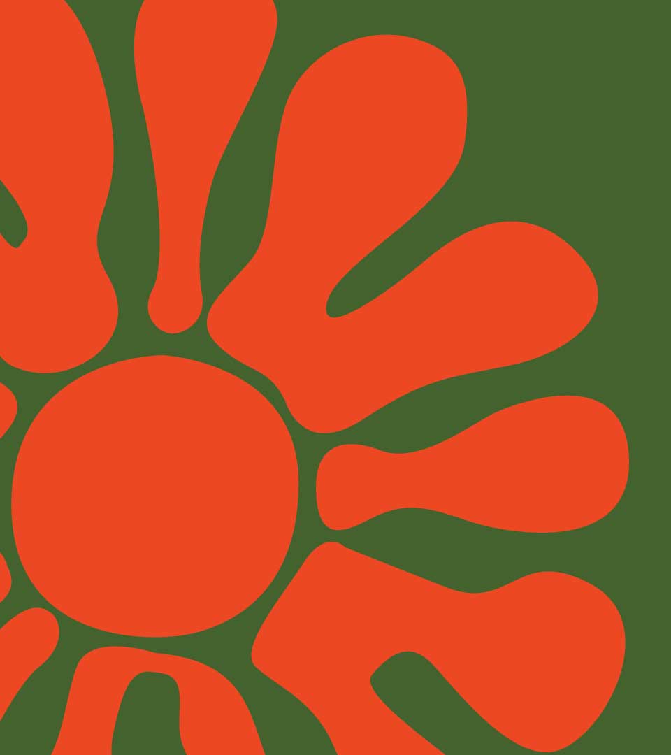 Sample design: Orange sunburst illustration on an olive green background